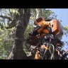 Аккумуляторная цепная пила для работы на вышке HUSQVARNA T536Li-14" 9667292-14